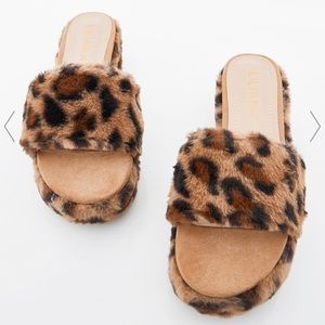 Slides